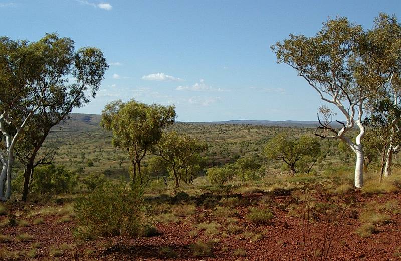 imgp3584.jpg - Karijini National Park