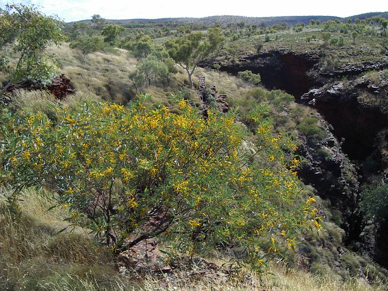 imgp3613.jpg - Karijini NP