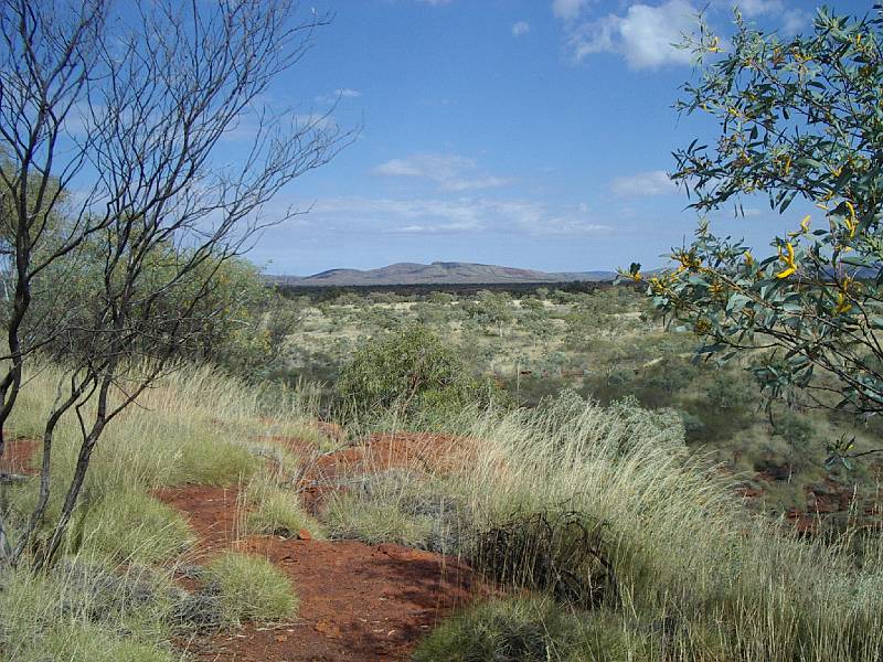 imgp3639.jpg - Karijini NP