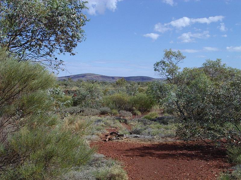 imgp3712.jpg - Karijini NP