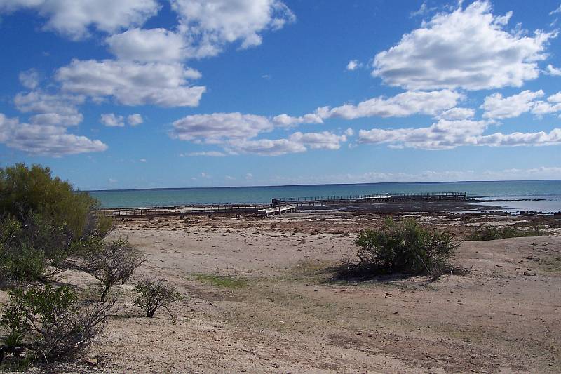 100_1246.jpg - Stromatolites, Hamelin Pool