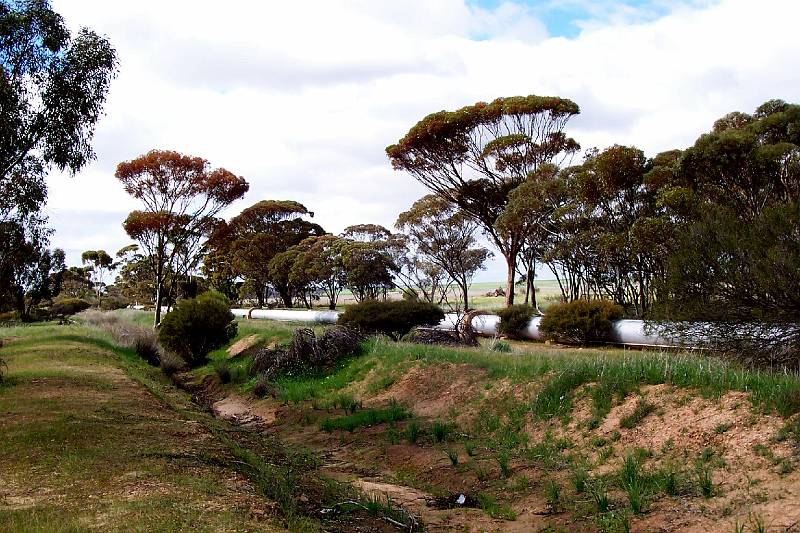 100_1409.jpg - Water pipe and drainage ditch, along road from Perth to Kalgoorlie