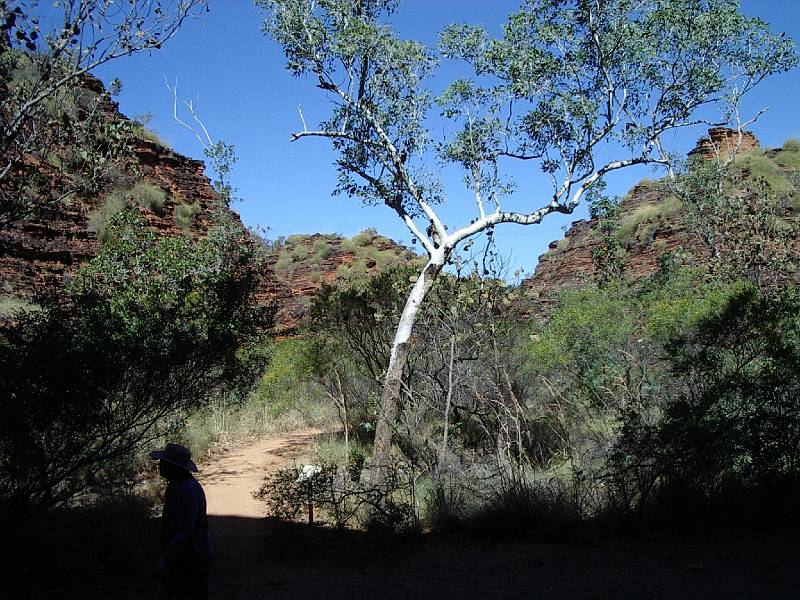 imgp2306.jpg - Mirima National Park