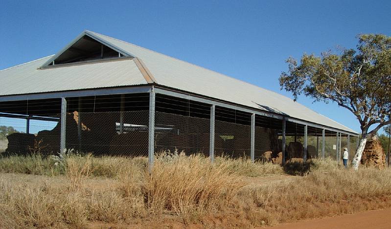 imgp2816a.jpg - Old Halls Creek