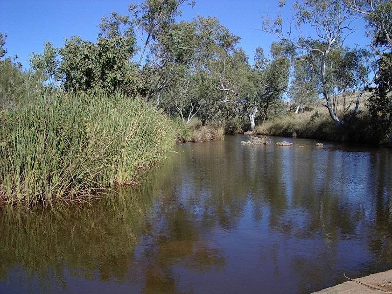 imgp2825.jpg - Old Halls Creek area