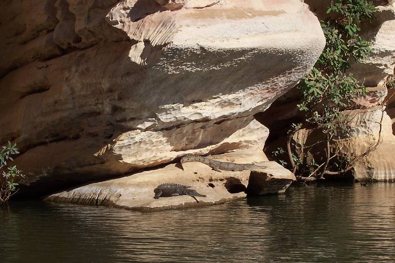 100_0858.jpg - Geike Gorge - 2 crocodiles