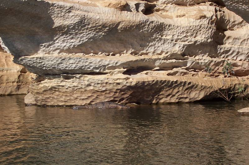 100_0860.jpg - Geike Gorge - crocodile