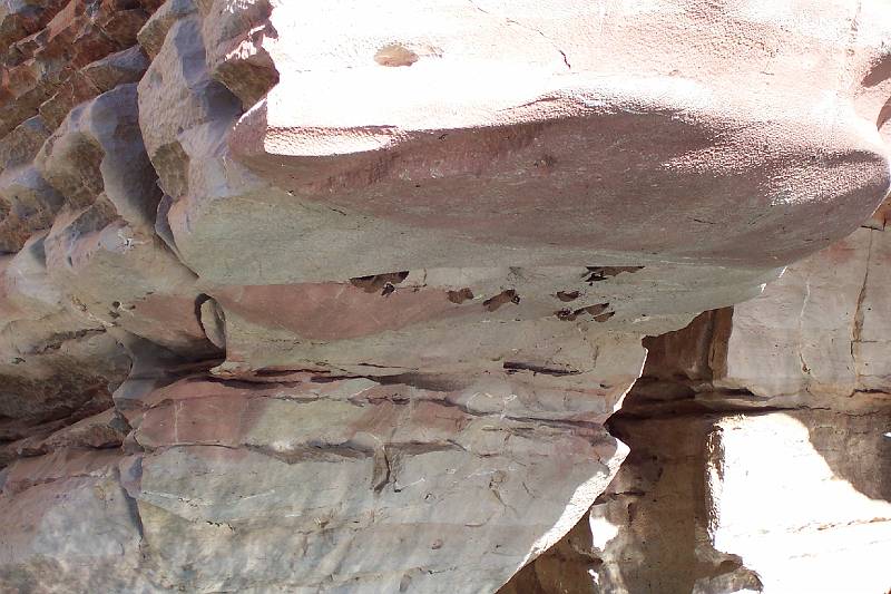 100_0866.jpg - Geike Gorge -swallows' nests