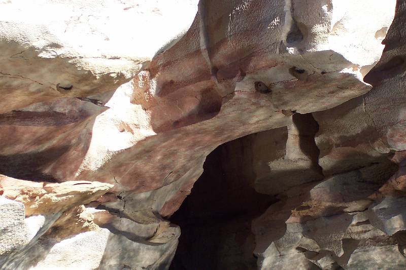 100_0868.jpg - Geike Gorge -swallows' nests