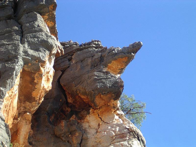 imgp2973.jpg - Geike Gorge - "croc rock"