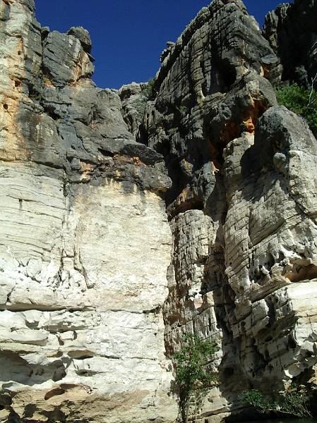 imgp2994.jpg - Geike Gorge - white areas are often underwater during wet season