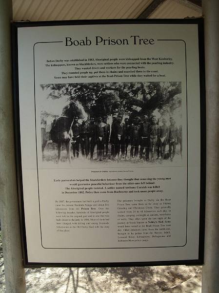 imgp3108.jpg - Derby - Prison Boab tree