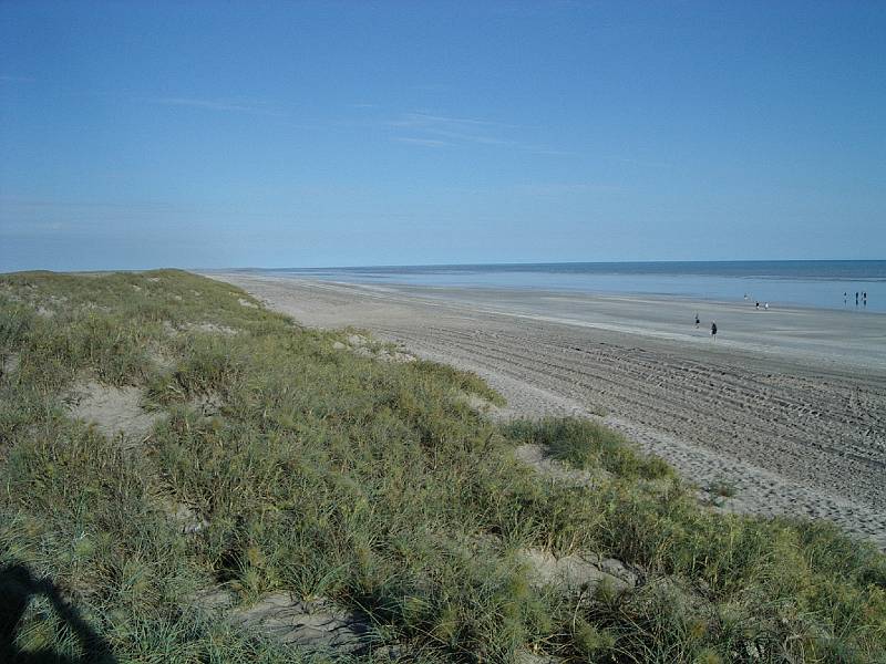 imgp3485.jpg - Eighty Mile Beach