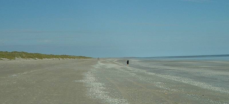 imgp3491.jpg - Eighty Mile Beach