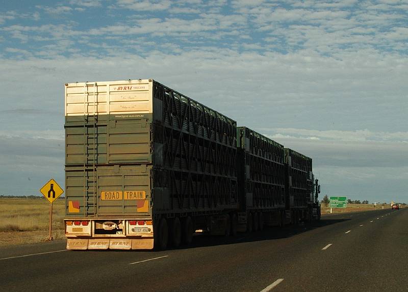 imgp3539.jpg - Road train