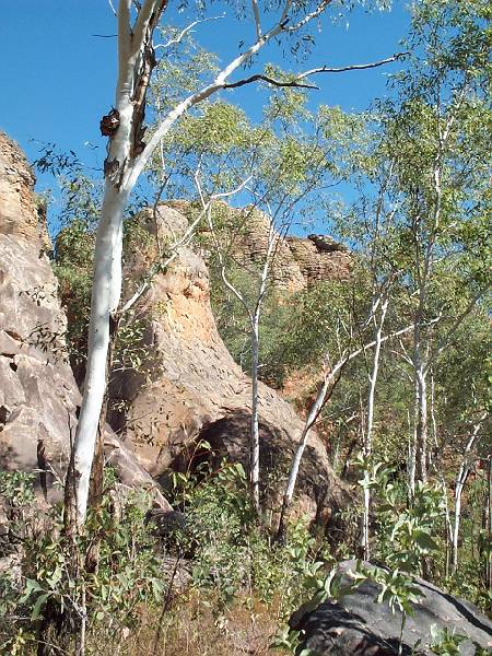 dcp_1225.jpg - Caranbirini Nature Park