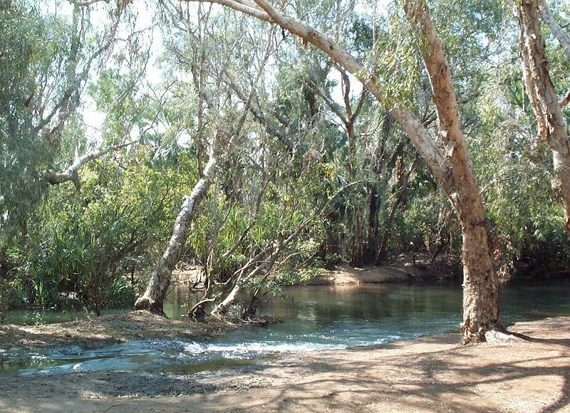 dcp_1247.jpg - Elsey NP, Mataranka, NT, Stevie's hole