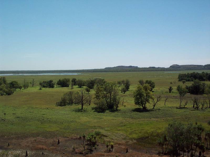 dcp_1329.jpg - View from Ubirr, Kakadu NP