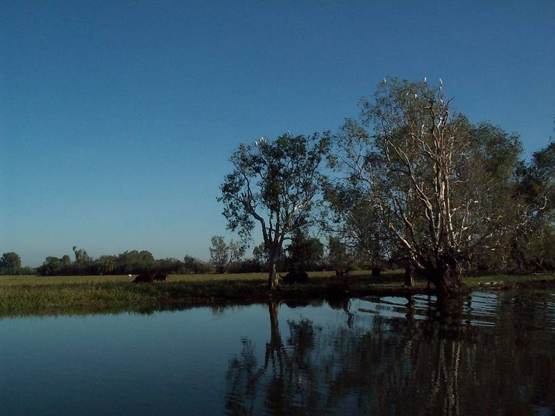 dcp_1424.jpg - Kakadu NP