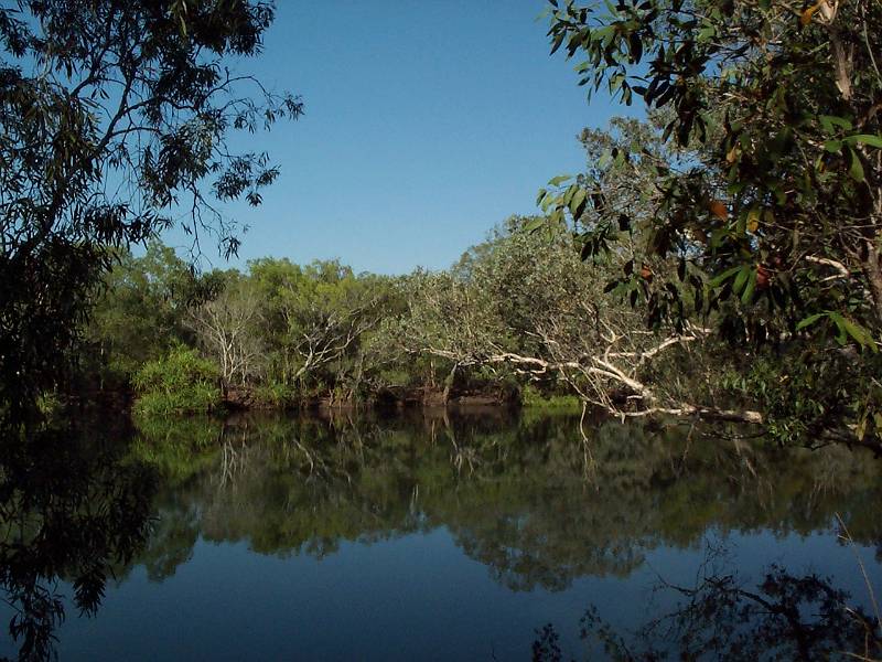 dcp_1429.jpg - Kakadu NP