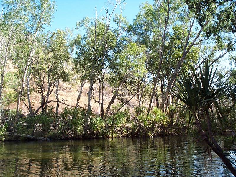 dcp_1431.jpg - Leliyn (Edith Falls), Nitmiluk NP