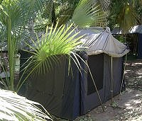 Tent accommodation at Adels Grove
