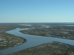 Warburton River, bringing water to Lake Eyre