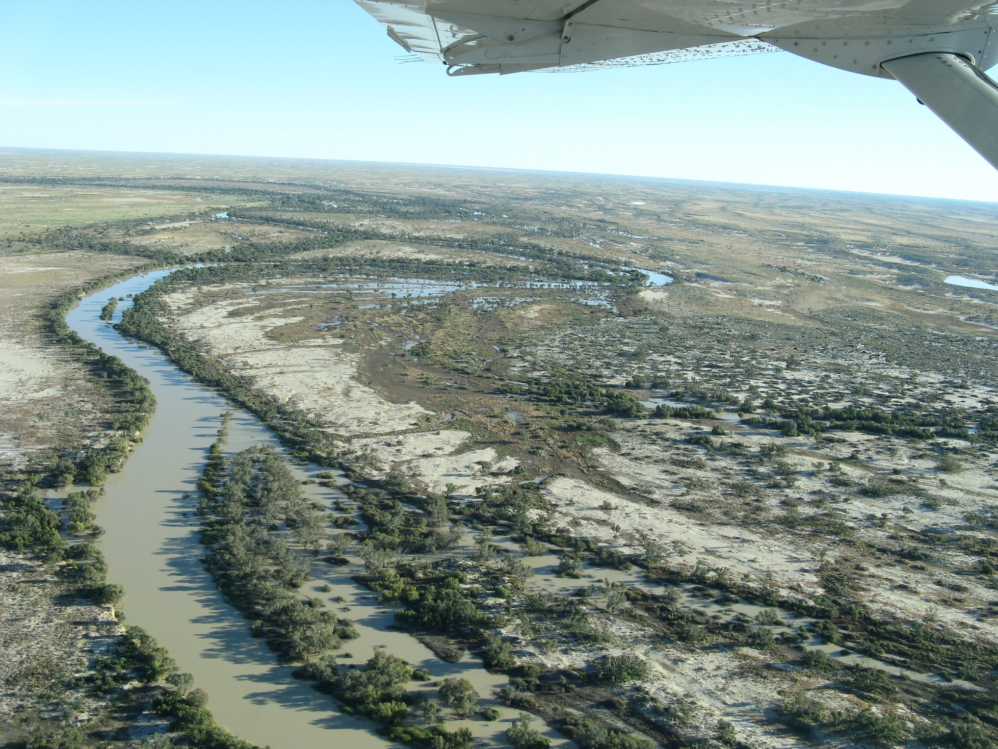 Warburton River, South Australia