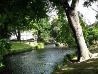 Park along Avon River, Christchurch