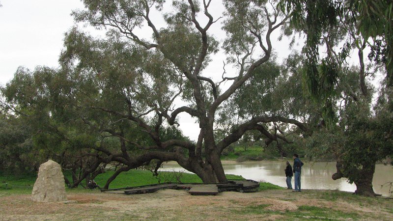 img_1486.jpg - Dig Tree at Bullah Bullah Waterhole on Cooper Creek