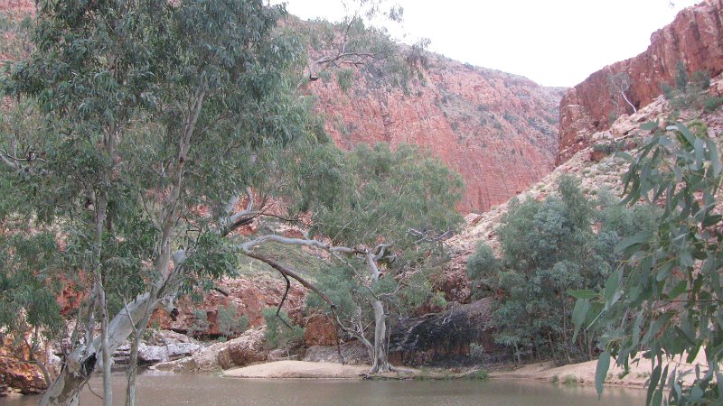 img_2183.jpg - Ormiston Gorge