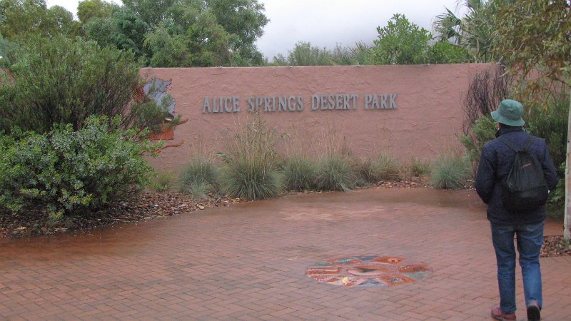 img_2273.jpg - Alice Springs Desert Park