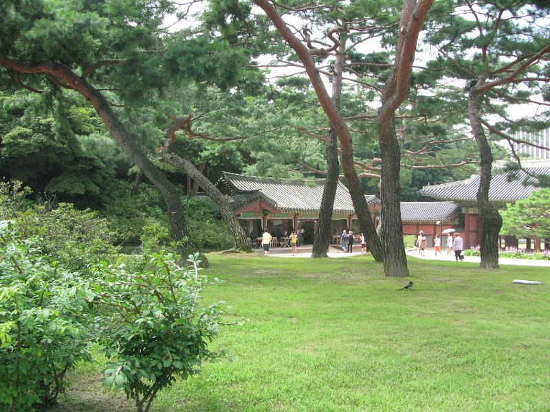 IMG_2488.JPG - Changdeokgung Palace, Seoul
