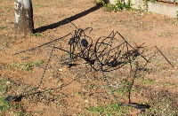 Wire sculpture, Augathella