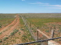 Dingo fence