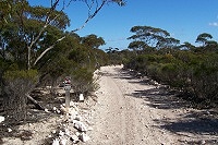 Road to Eyre bird sanctuary