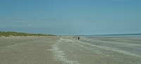 Low tide, Eighty Mile Beach