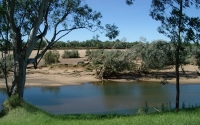 Fitzroy River at Fitzroy Crossing