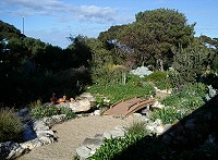 Rock garden at Eucla Roadhouse