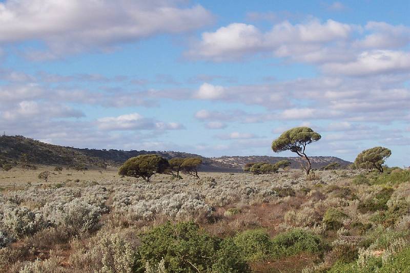 100_1464.jpg - View along road on way to Eucla