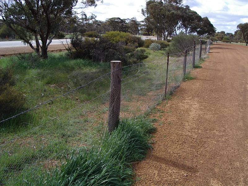 imgp4708.jpg - Rabbit proof fence