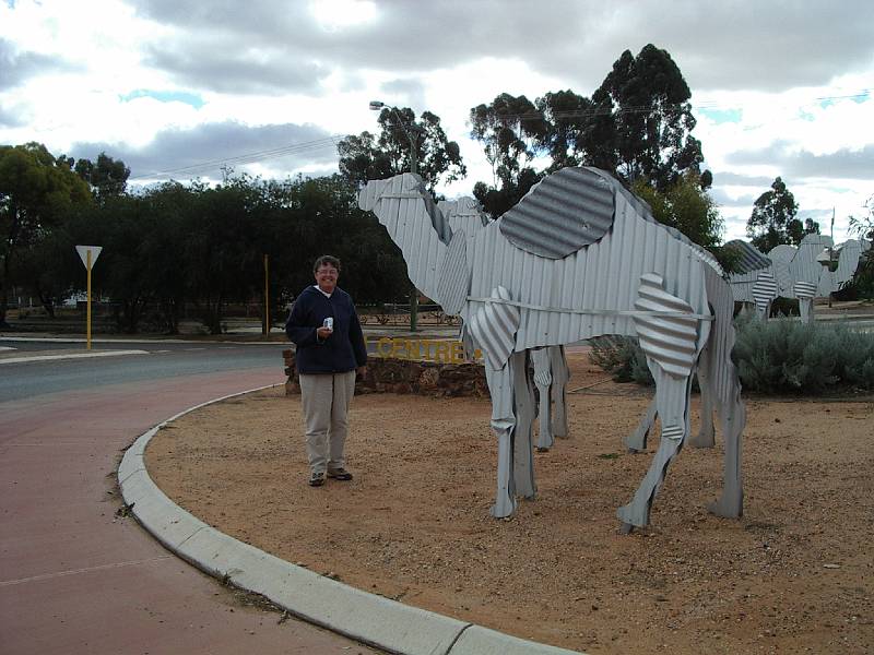 imgp4774.jpg - Tin camal sculptures, Norseman