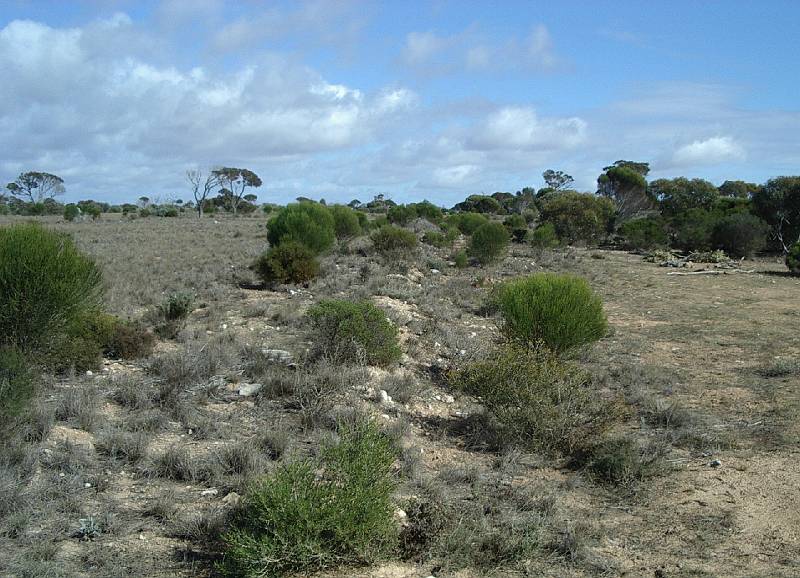 imgp4822.jpg - Rock pile marking trench for Telstra optical cable