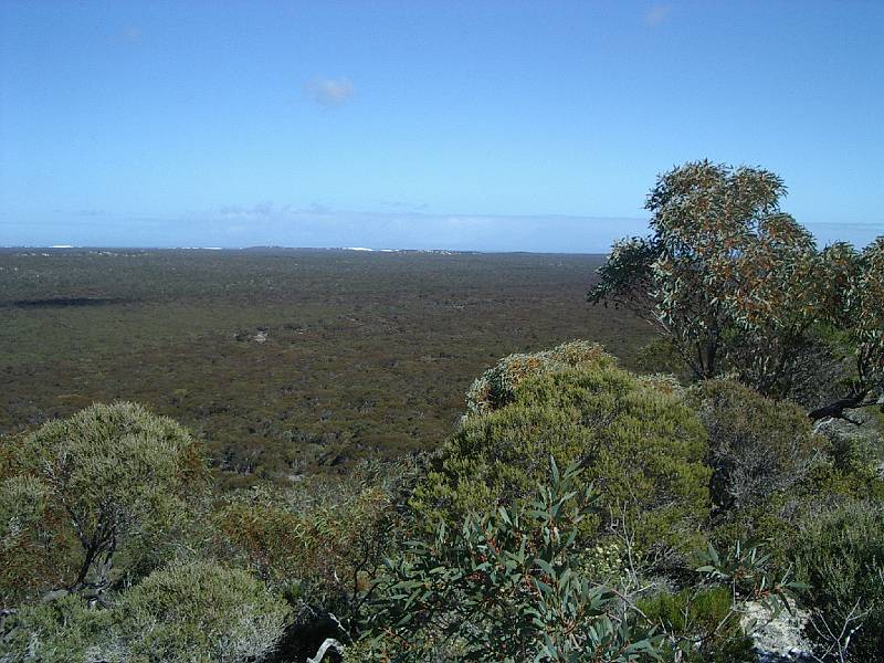 imgp4826.jpg - View towards coast