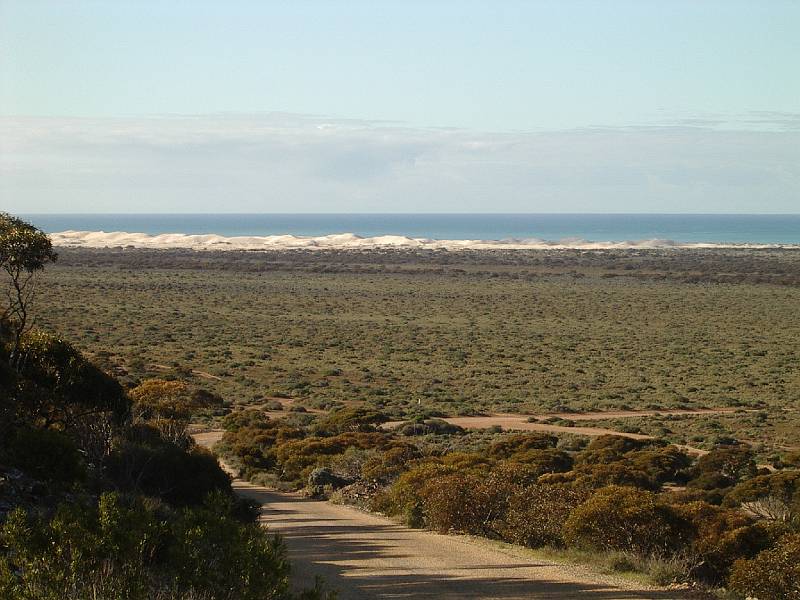 imgp4859.jpg - Dunes at Eucla