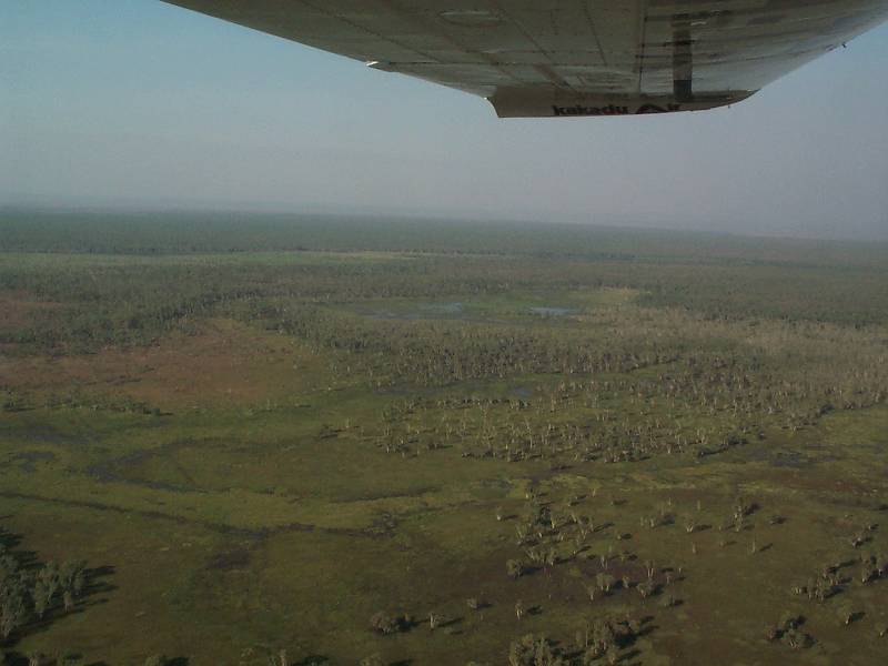 dcp_1368.jpg - Kakadu from air