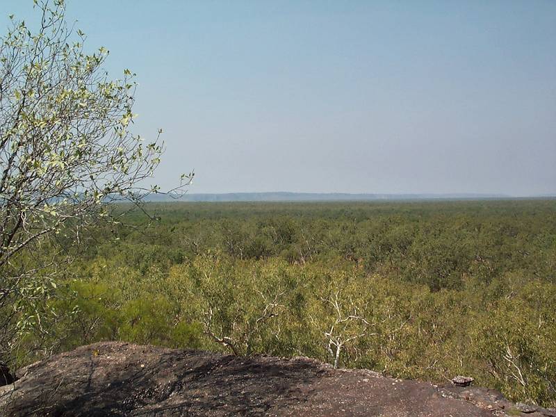 dcp_1385.jpg - View from Nourlangie Rock, Kakadu NP